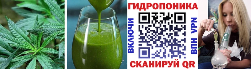 Canna-Cookies марихуана  Вельск 