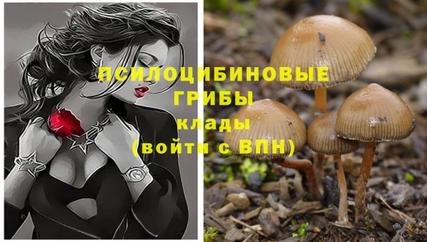 тгк Белоозёрский